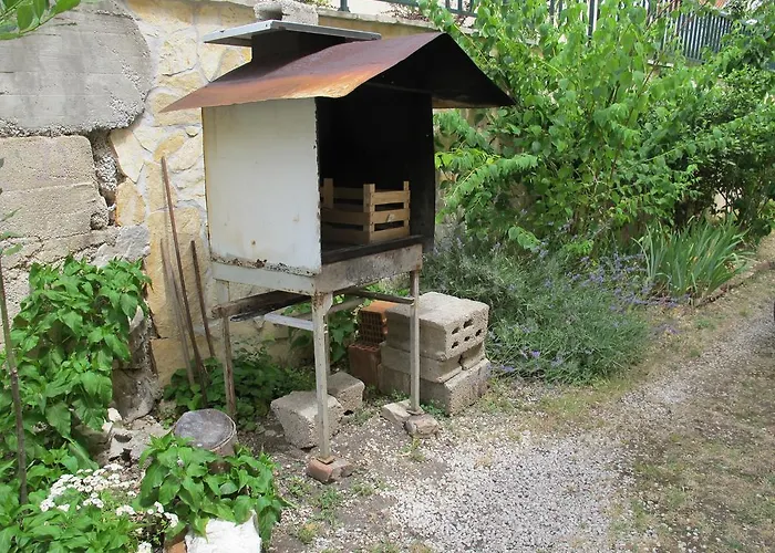 Tonka * 트로기르